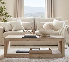 a living room scene with focus on the couch and coffee table in front of the window