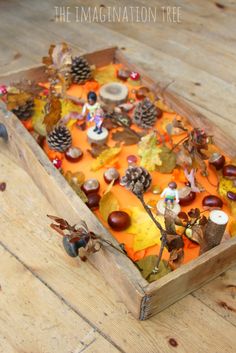 a wooden box filled with lots of different types of autumn leaves and acorns