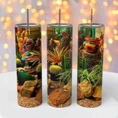 three candles are decorated with plants and rocks