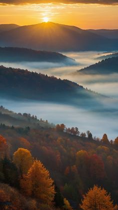 the sun is setting over some mountains covered in fog and trees with colorful leaves on them