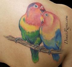 two colorful birds sitting on top of a branch