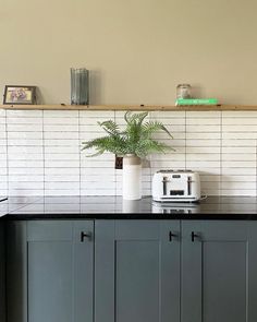 a kitchen counter with a toaster and potted plant on top