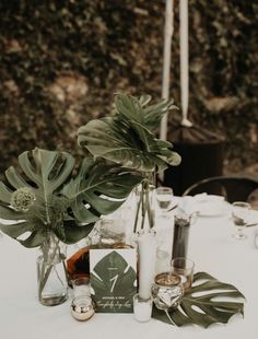 a table topped with lots of bottles and glasses filled with plants next to each other