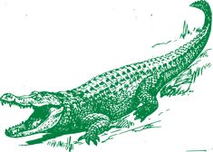 an alligator is shown in green ink