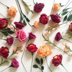 several different colored flowers arranged on a white surface