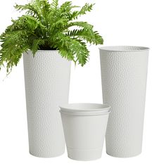 three white vases with plants in them sitting next to each other on a white background