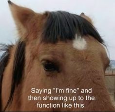 a close up of a horse's face with the words saying i'm fine and then showing up to the function like this