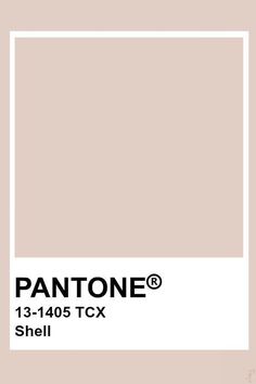 the pantone color is shown in white and beige, with an empty rectangle