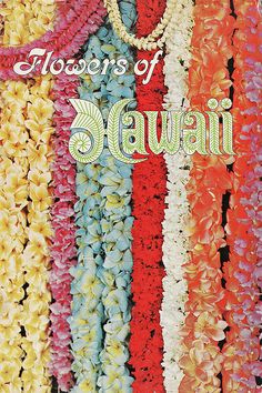 the cover of flowers of hawaii, featuring multicolored leis and an elaborate necklace