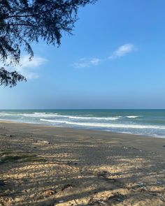 an empty beach with waves coming in from the ocean and trees on the shore line