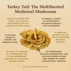 a poster with instructions on how to use the medical mushroom as an alternative medicine tool