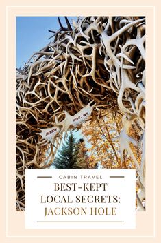 the words best - kept local secrets jackson hole in front of an image of deer antlers