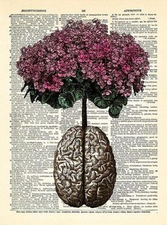 a book page with flowers in the shape of a brain