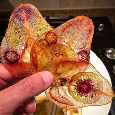 a person holding up a piece of art that looks like an animal's wing