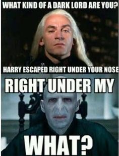 harry potter and hermione's face with the caption what kind of a dark lord are you?