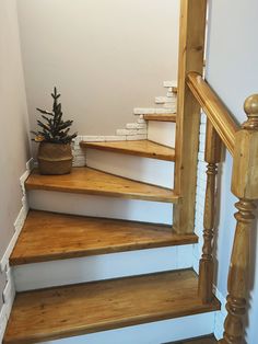 there is a plant on top of the wooden stairs in this house with white walls and wood handrails