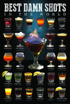 the best damn shots in the world poster is displayed on a black background with various glasses and