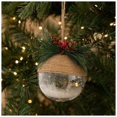 a glass ornament hanging from a christmas tree