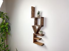 a wooden shelf that has some plants in it on the wall next to a potted plant