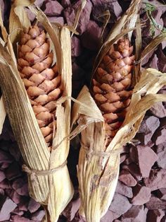 Pinecone Decor, Natural Fall Decor, Corn Husk Crafts, Primitive Autumn, Corn Husks, Rustic Autumn, Fall Thanksgiving Decor, Cones Crafts