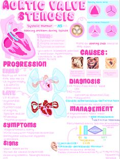 Cardiac Aesthetic, Medical Study Notes, Cardiology Nursing, Medical Study, Nursing School Motivation