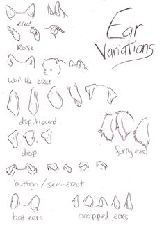 an animal's ear variations are shown in this drawing