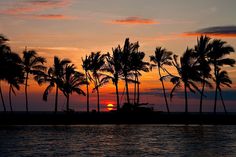 palm trees are silhouetted against the setting sun on an island in the middle of the ocean