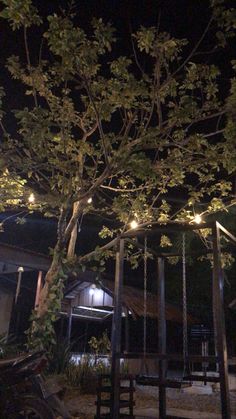 a tree with lights hanging from it's branches in front of a building at night