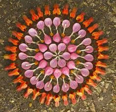 an overhead view of pink and orange flowers in the middle of a circular pattern on dirt