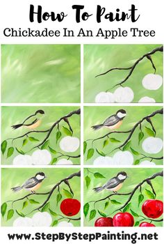 step by step painting instructions for how to paint chickade in an apple tree with cherries