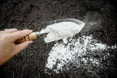 a person holding a knife and scooping out some white powder from a large shovel