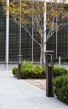 two black trash cans sitting on the side of a sidewalk next to a tree and bushes