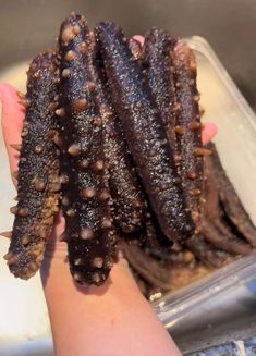 Wild Alaska Dried Sea Cucumber 1 LB - 阿拉斯加红参 Product of USA Ocean Food, Vitamin Sea, Food Crafts, Vitamin B, Raw Food Recipes, Meat Jerky, Alaska