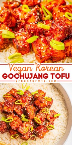 Spice up your dinner with this Vegan Korean Gochujang Tofu! This crispy, protein-rich dish combines sweet, savory, and spicy flavors in less than 30 minutes. A healthy and flavorful option for quick weeknight dinners and family-friendly meals! Tofu Crockpot Recipes, Tofu And Rice Recipes, Gochujang Tofu, Asian Tofu Recipes, Healthy Korean Recipes, Sweet Spicy Sauce, Tofu Recipes Easy, Easy Vegetarian Dinner, Easy Main Dishes