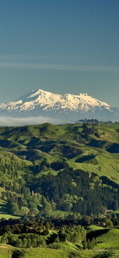 a mountain with snow on the top and green hills below