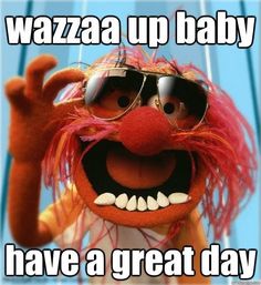 the muppet with sunglasses and pink hair is saying, you don't have to floss your teeth just floss the ones you want to keep