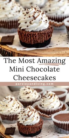 the most amazing mini chocolate cheesecakes