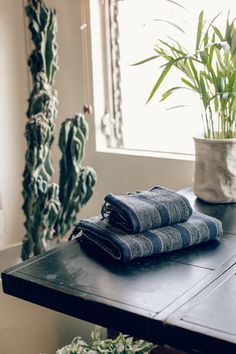 two folded towels sitting on top of a table next to a potted plant