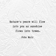 john mulr quote about nature's peace will flow into you as sunshine flows into trees