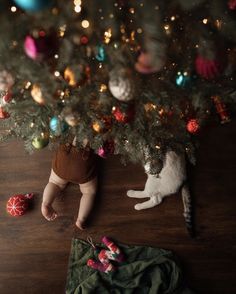 a cat laying on top of a wooden floor next to a christmas tree with ornaments