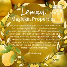 Willow Witchcraft Witch's Apothecary, Witchy Recipes, Witchy Diy, Kitchen Witchcraft, Lemon Seeds