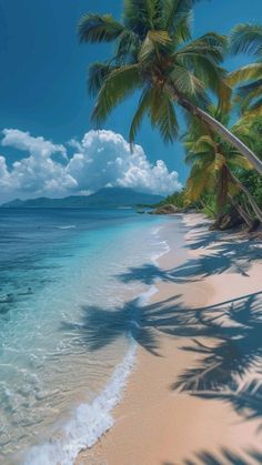 the beach is lined with palm trees and blue water