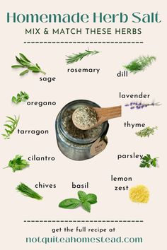 the ingredients for homemade herb salt are shown in this graphic style, including herbs and seasonings