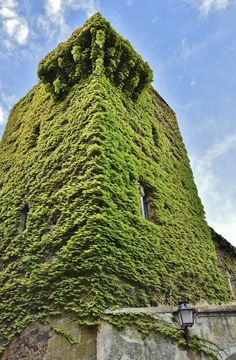 a tall building covered in green plants under a blue sky