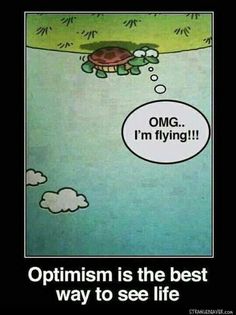 an image of a turtle saying, optimism is the best way to see life