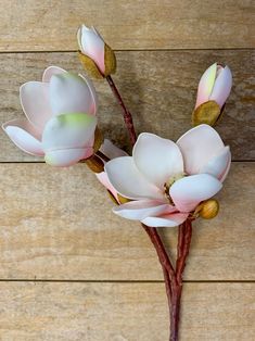 three white flowers with pink petals on a wooden surface