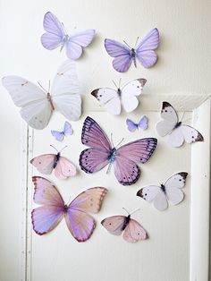 a group of purple and white butterflies on a wall