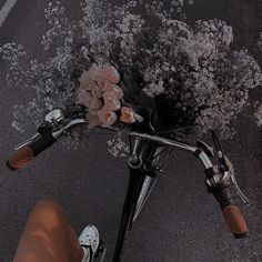 a person riding a bike with flowers on the handlebars in front of them