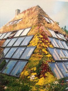 an unusual house with plants growing on the roof