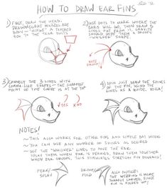 how to draw an animal head with different angles and sizes, including the nose and mouth